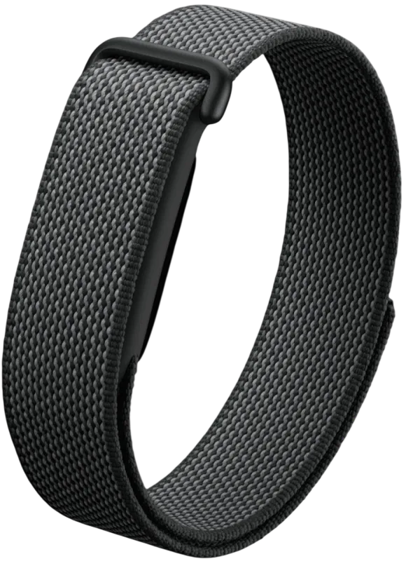 Фитнес-браслет Google Fitbit Air